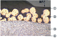 ZY-2X ̼�ֻ��߽��������